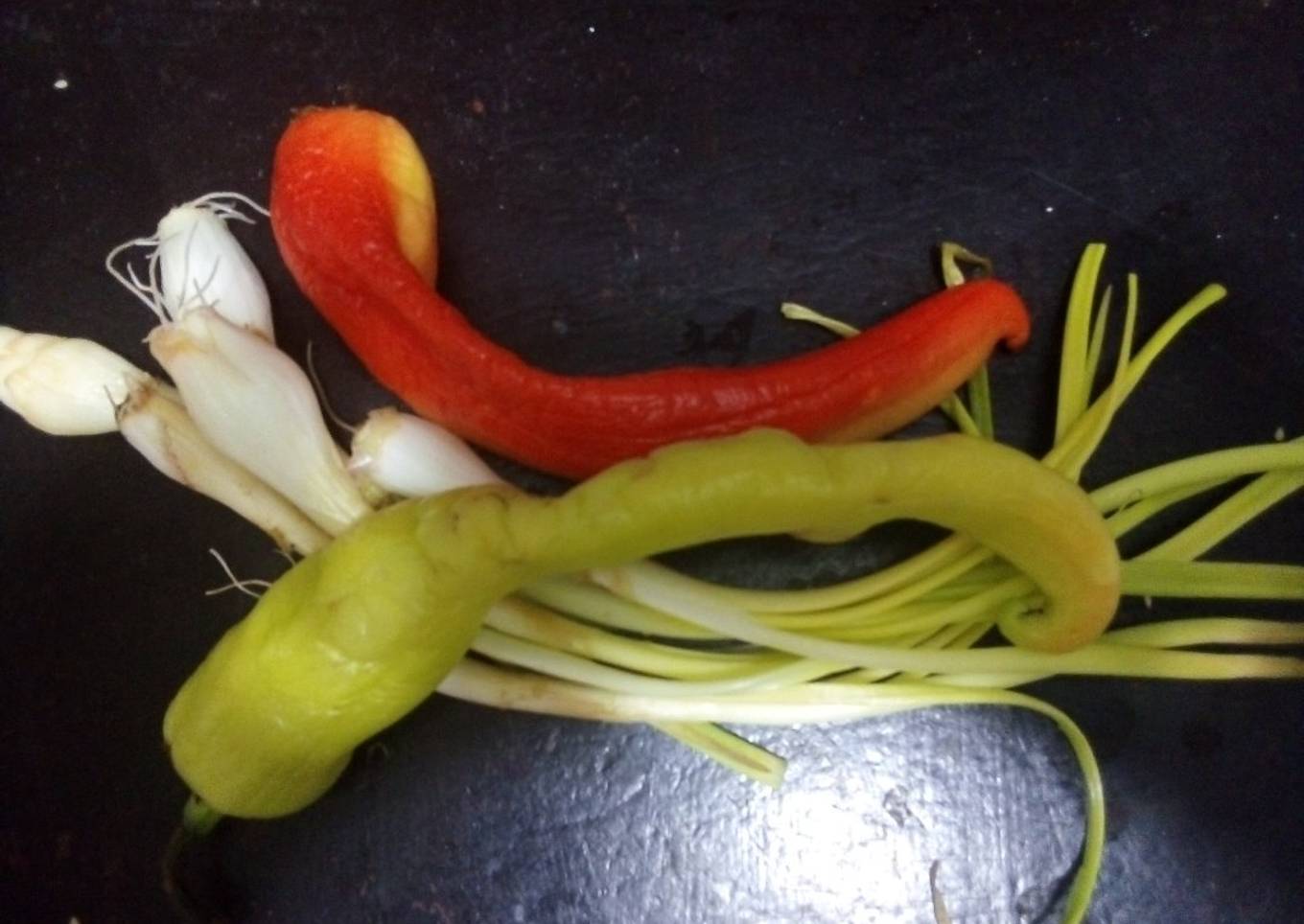 Salsa de pulque y chilacas pintas con cebolla cambray estilo ranchero las Correa