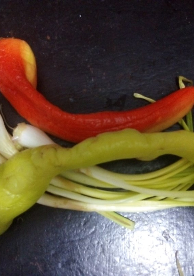 Una foto de Salsa de pulque y chilacas pintas con cebolla cambray estilo ranchero las Correa