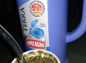 Una foto de Mate para empezar el día con té verde y manzanilla 😺