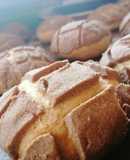 Conchas