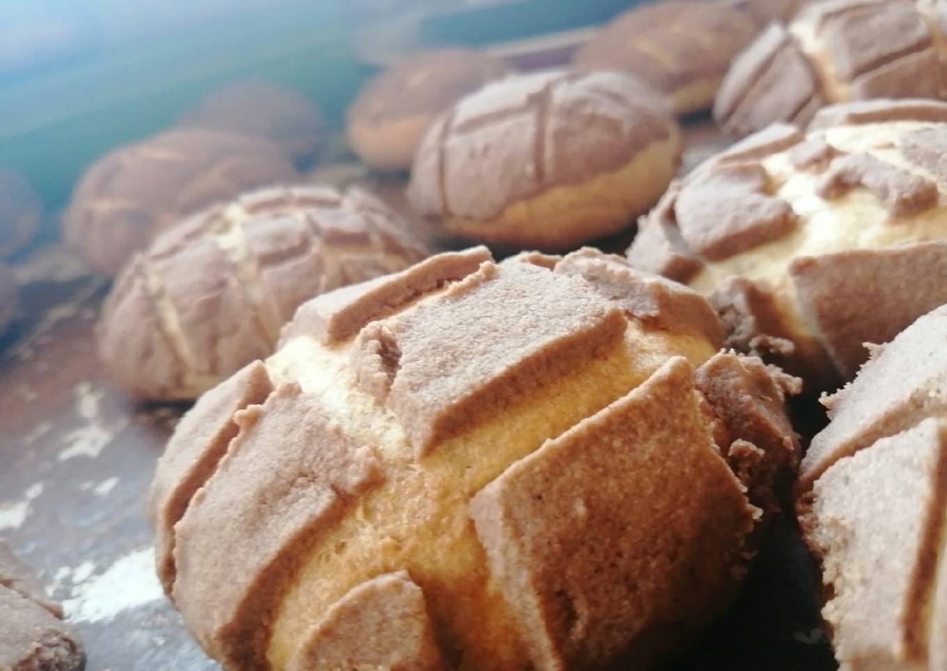 Conchas