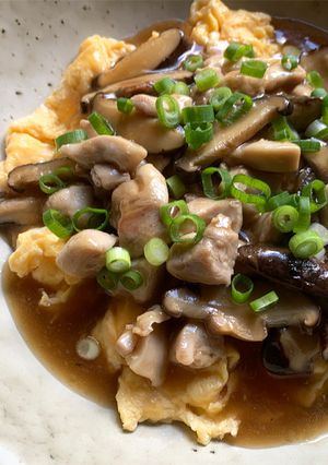 A picture of Scrambled Egg with Chicken & Shiitake Sauce.