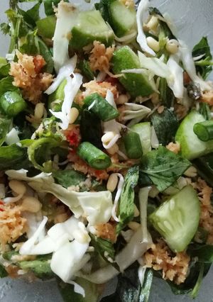 Foto resep Terancam Sayur