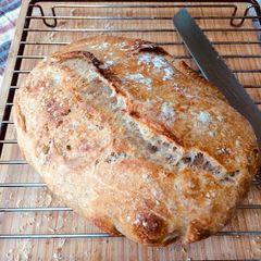 A picture of Sourdough bread levain (starter).