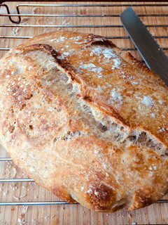 A picture of Sourdough bread levain (starter).