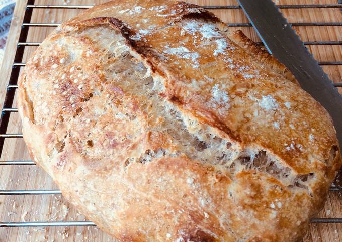 How to Make Perfect Sourdough bread levain (starter)