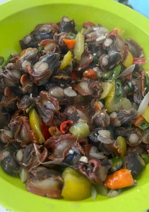 Foto resep Tumis Kerang Dara