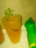 Ice tea drink
