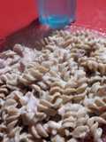 Fideos saludables