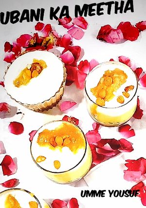 A picture of Khubani ka meetha.