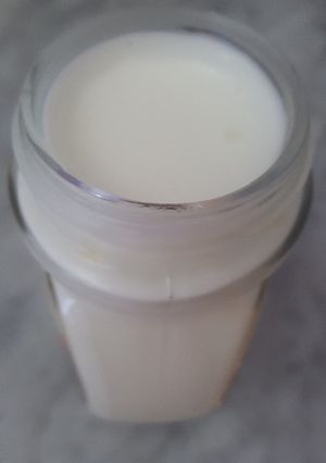 صورة لوصفة مايونيز بدون بيض