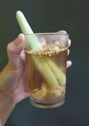 Foto resep Ramuan detox rahim jsr