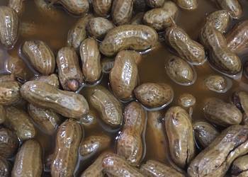 Easy Make Recipe Instant pot boiled Cajun Peanuts Home Style Easy Make Recipe Instant pot boiled Cajun Peanuts Home Style