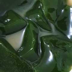 Cincau Jelly Madu রেসিপির প্রধান ছবি