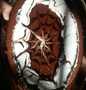 Easy Steps to Prepare Recipes Chocolate cake with thick sauce the Can Spoil the Tongue Delicious.