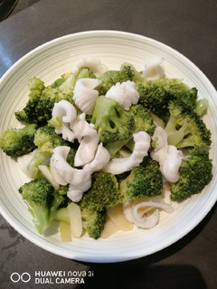 A picture of Squid Broccoli.