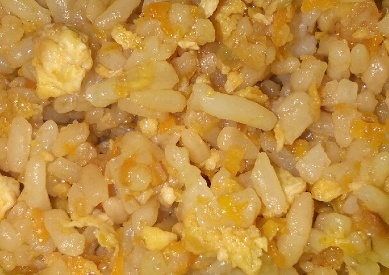 (Mpasi 1+)nasi goreng telur kampung wortel