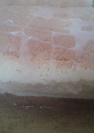 Una foto de Torta de vainilla😋😍