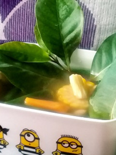 Foto resep Sayur Asem Tradisional keluarga