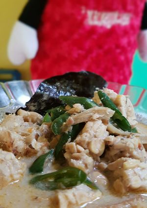Foto resep Sayur lodeh tempe teri cabe ijo😊