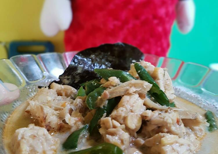 Sayur lodeh tempe teri cabe ijo😊
