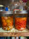 Fermented Veggies