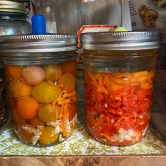 A picture of Fermented Veggies.
