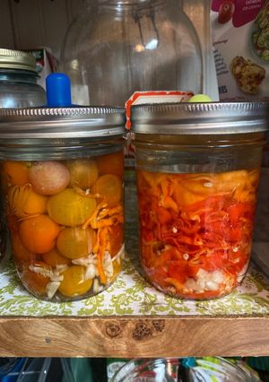 A picture of Fermented Veggies.
