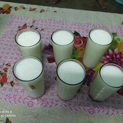 A picture of Lassi.