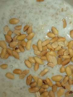 A picture of Oat pudding + peanuts.