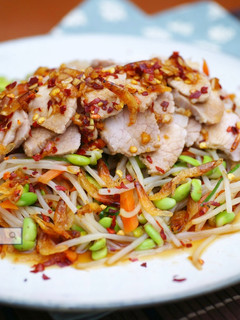 《黑豆芽櫻花蝦豬肉沙拉》 的食譜成品照片