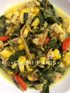 Foto resep Gulai Pakis