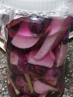 صورة لوصفة لفت مخلل