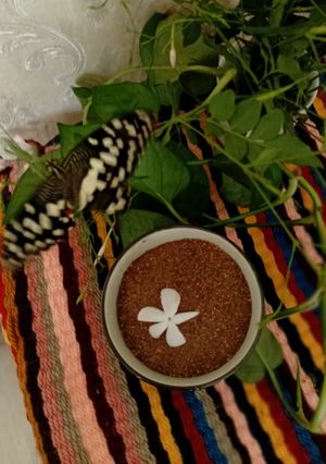 عکسی از دستور گرد غوره