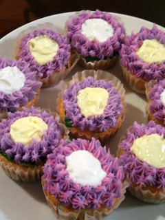 A picture of Sean's-Graham cracker crust cupcake delights.