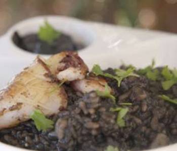 Easy Cooking Recipe Creamy black rice with squid and olive oil recipe Delicious