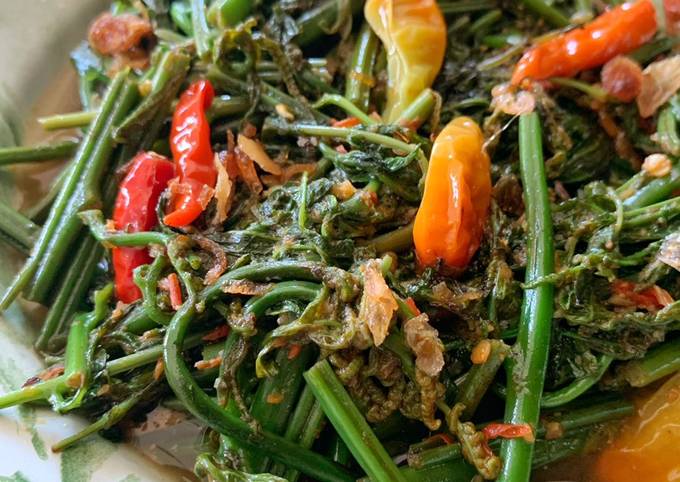 Resep Tumis Daun Pakis Oleh Nadia Hayu Cookpad