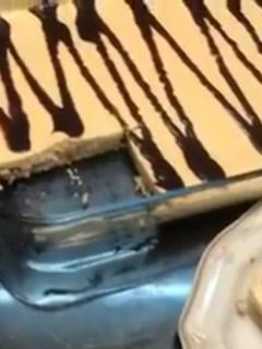 صورة لوصفة حلى خفيف ولذيذ