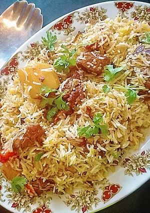 A picture of Sindhi biryani.