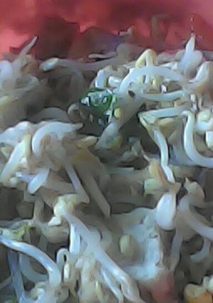 Foto resep Tumis tauge tahu telur