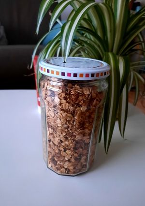 Une photo de Granola maison