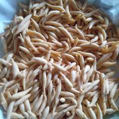 รูปของ Bidaran keju