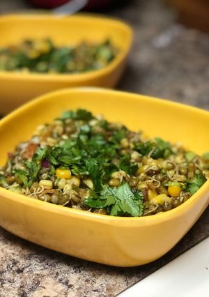A picture of Sprouted Green Gram salad.