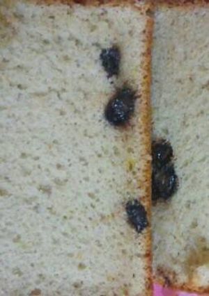 Foto resep Choco sponge cake menul