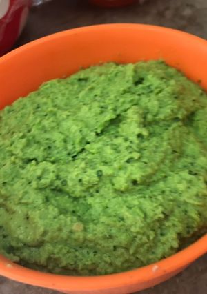 A picture of Guacamole.