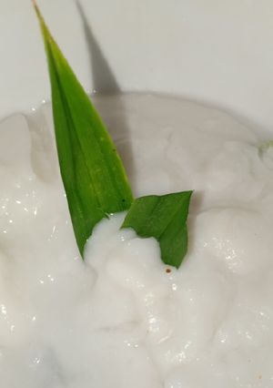 Foto resep Bubur sumsum