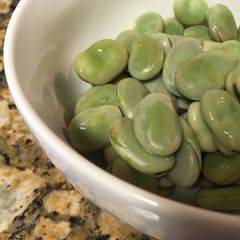 A picture of Boiled fava beans.