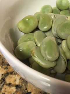 A picture of Boiled fava beans.