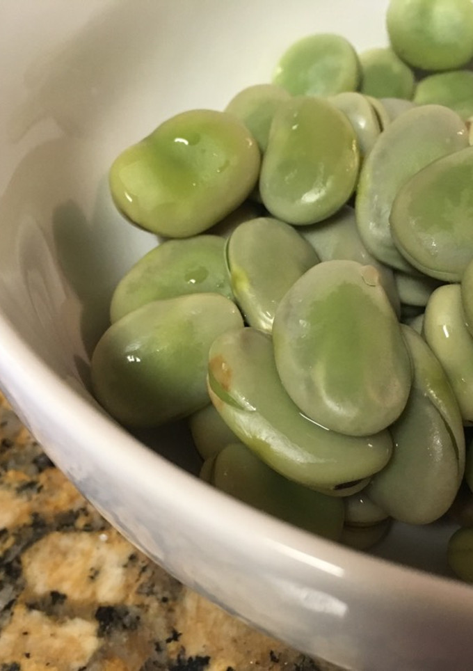 A picture of Boiled fava beans.