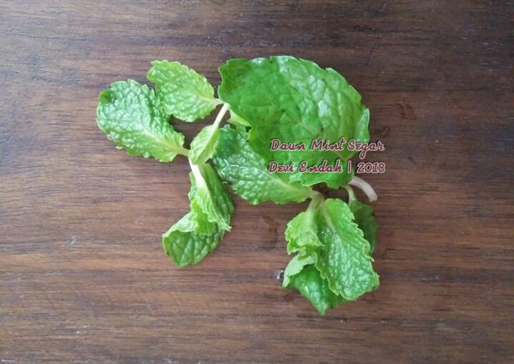 Resep Tips Cara Menyimpan Daun Mint 26 10 2018 Oleh Cloudy Cloud Cookpad